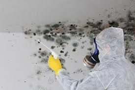 Best Water Damage & Mold Remediation  in Alanes Ridge, CA